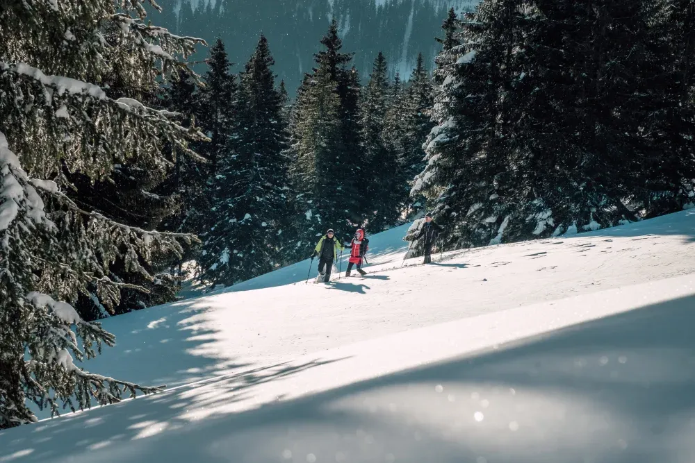 Schneeschuhwanderer im verschneiten Wald